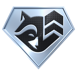 Guardian · Level 1
